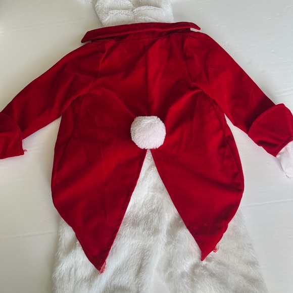 Alice in Wonderland rabbit costume 2T - Picture 5 of 7